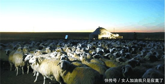  「差距」外蒙古与内蒙古牧民冬季生活的对比, 差距太大