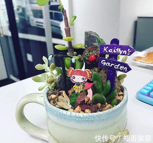 「装饰」在茶杯里建花园,美到惊艳!31万网友疯狂点赞