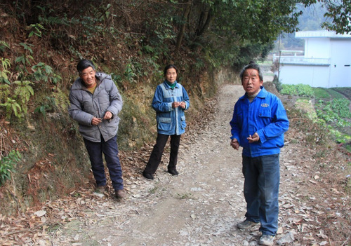 10年寿命的“村村通”公路，不到2年就成了“村村痛”，为啥？