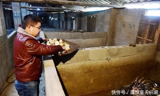  小孙@80后男子放弃高薪，回老家投资35万养“稀罕物”，年入200