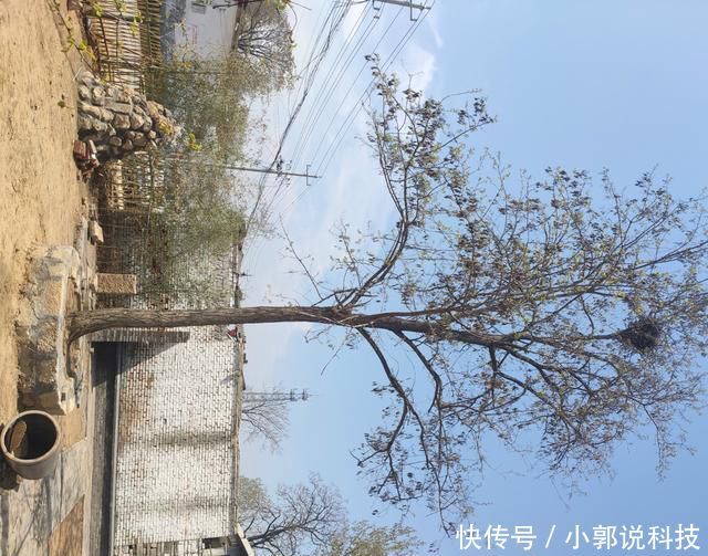  『开启』河南汤阴北店村开启美丽乡村计划