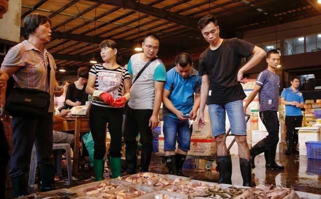  「小世界」大湾区小世界：猪肉已经吃不起？来吃开渔后的海鲜吧
