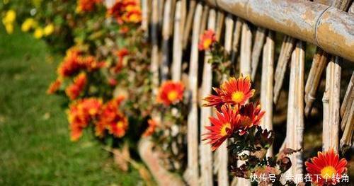  「快乐」篱笆小院住在乡村的快乐，你想体验吗！