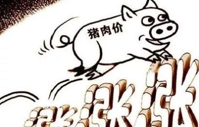  「上涨」生猪价格上涨，今年中秋猪肉能涨到多少钱一斤？看完有