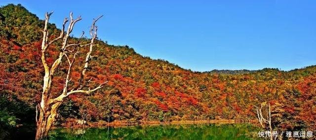 广西的邻居湖南, 有一座离天空最近的小城……