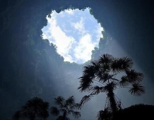 最大地下原始森林，藏在我国天坑秘境内，面积约9.6万平方米