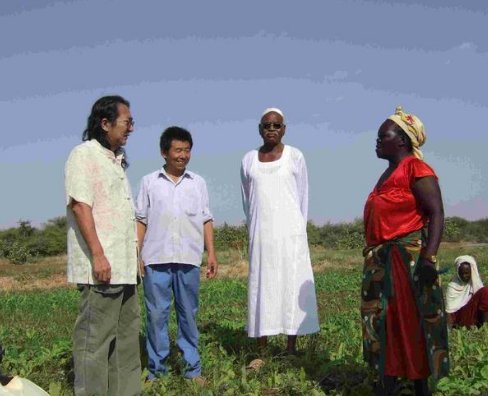 中国人带头在非洲的土地上种庄稼，见到大丰收的黑人表示不敢相信