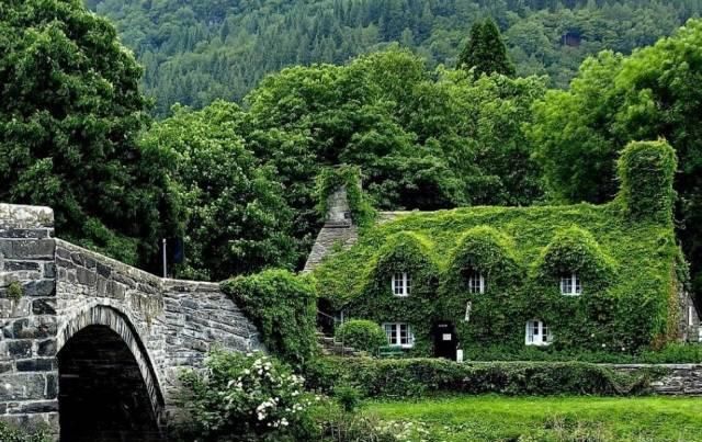 我想有个小院，欣赏四季美景