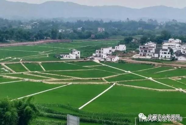 农民有福了!今年农村将实施“三通”工程，老农:终于等来好消息