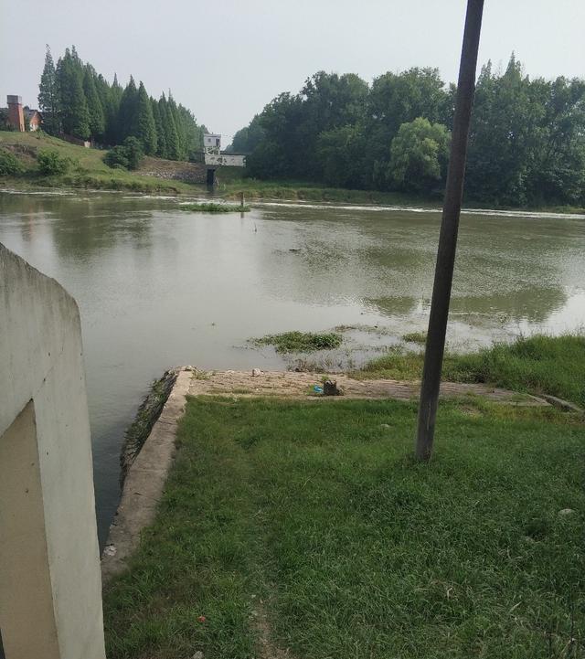 稀巧:正午口稀巧换点,又遇电网肆虐抢鱼忙