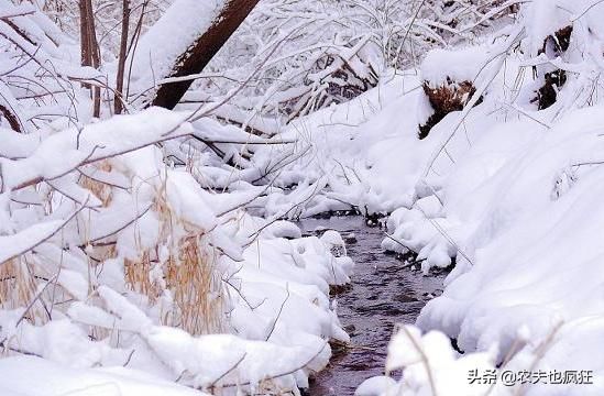  大寒节@小寒到了，俗语“小寒大寒，冻成一团”啥意思？小寒节气