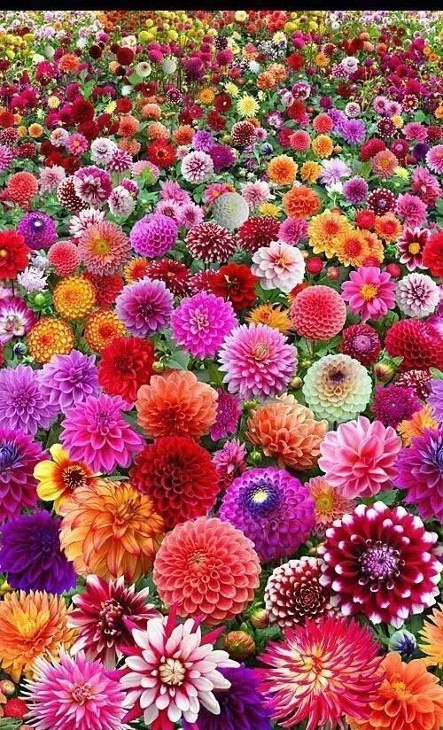 太壮观！这一辈子见一次值了！轰动世界！