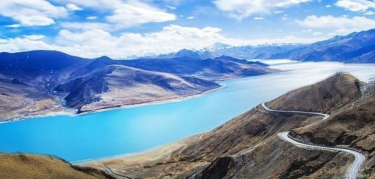 ?西藏旅行时见到路边的“大白菜”,为啥不能摘?摘了可能会出事