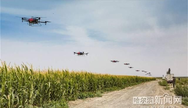  「徐贝贝」农村合作社里卖“飞机”了｜庄稼汉们不仅“能抖”更