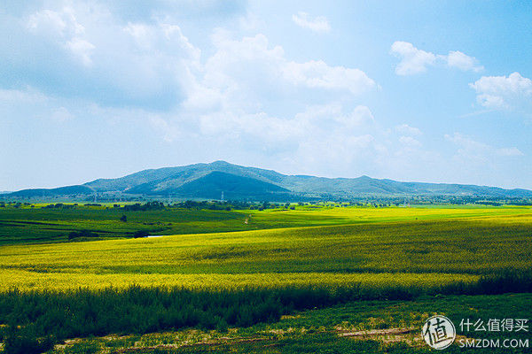 8012年,我的佳能500D和他的朋友们