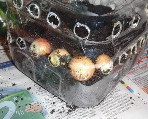 种植@废旧油桶别再卖破烂,这4个用途太“给力”,家家户户都用得到