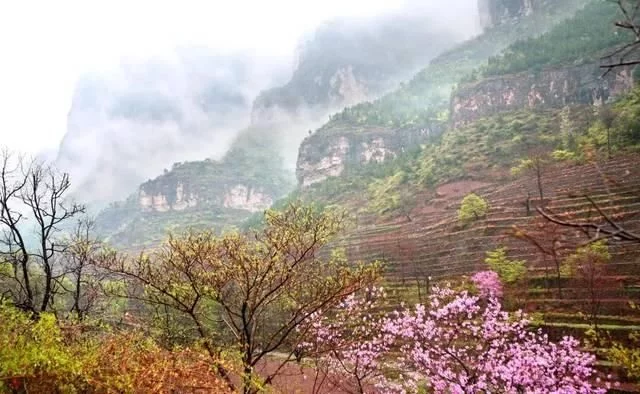 新乡南太行|多情最是春雨生,花开疫散,就来这里踏青赏花吧【2020热门旅游景点】