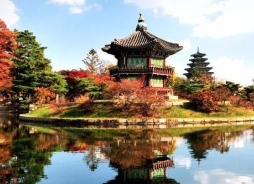 这个“白眼狼”国家，因为中国游客不去旅游，将中国员工裁掉了