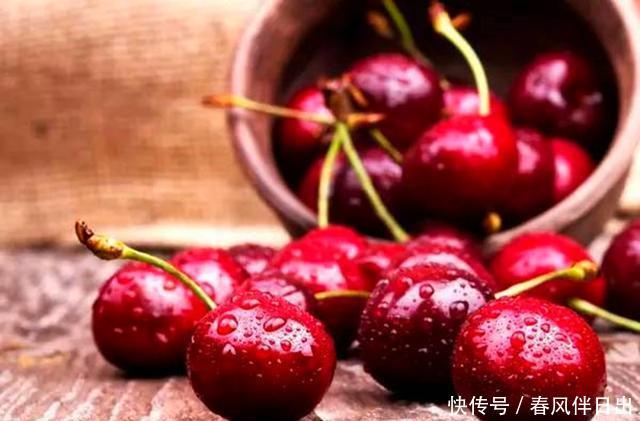 盆栽@这2种水果别扔籽,处理好埋盆里,扎根发芽养成绿叶盆栽