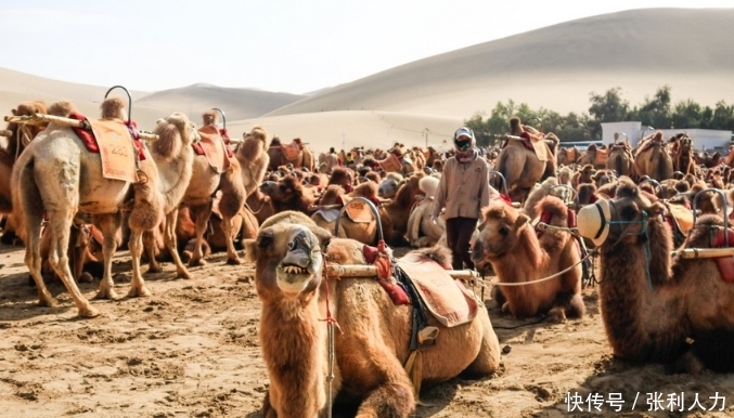 国内最“喜欢”手机的景区,一年吞没上百部,游客们要小心了