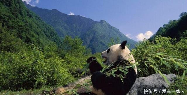 四川空气最差的5城市，成都倒数第一，来看看你家乡？