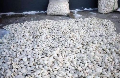  不少@东北版“速冻饺子”场面震撼，“天然冰箱”引南方人羡慕：