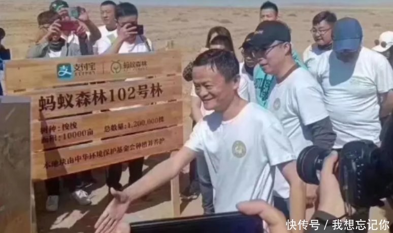 马云的蚂蚁森林,每天浇水种下的梭梭树,现成这样!