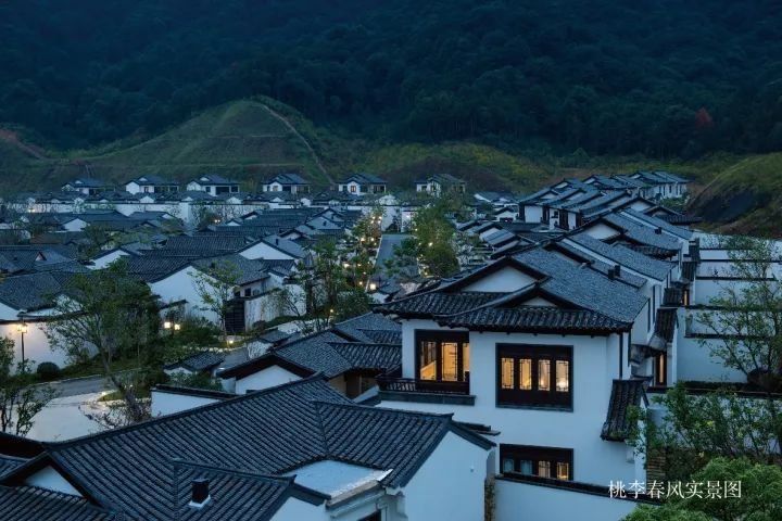  【宋卫】布局大湾区：宋卫平和他的理想小镇