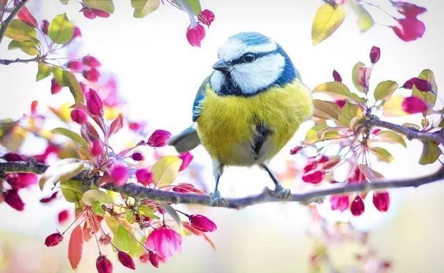 3月最佳旅行地榜单:十大绝美仙境，春暖花开美到窒息!