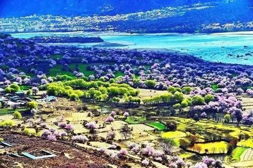 一旦去了这些地方，其他就都成了将就！