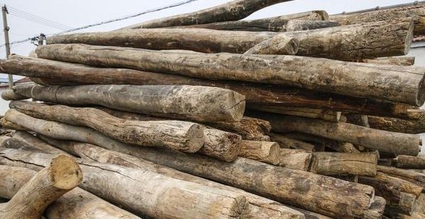  「屋梁」农村有人专门买旧房梁，一根100多，老农：这有啥用？答