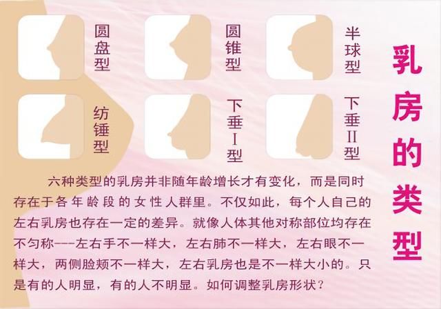 女性穿文胸的目的是什么？