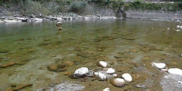  [湍急]流水湍急，鱼群在水下，溪流钓如何钓水流湍急水域