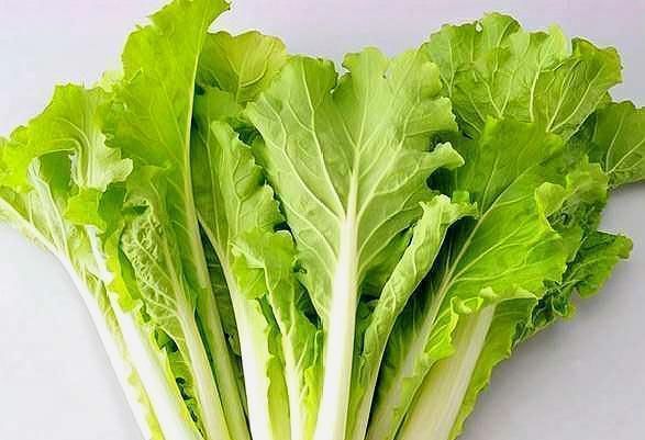  吃不完|阳台种这几样菜，天天有菜摘，吃都吃不完！