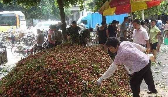 这种水果在南方烂大街，收购价低至5毛钱一斤，北方卖十几元一斤