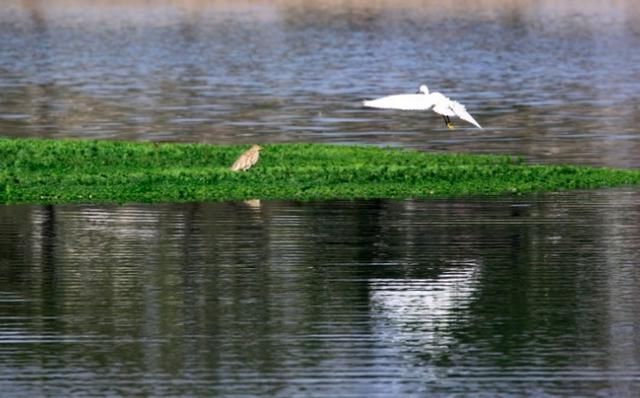 李清照出门郊游写下一首词,开篇七个字,便美得令人心醉!