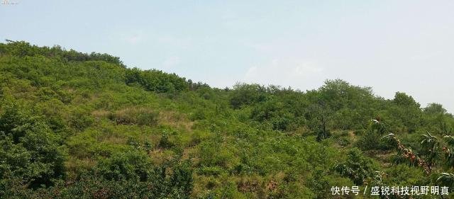  【依据】农村开荒地、荒山最新政策，四依据三建议助您征收获合