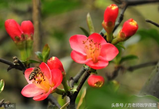 孩子即将面临中考,妈妈该怎么做?家长该怎么做