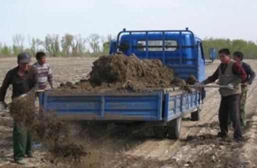  「好处」农家肥料给农作物和土地带来的好处是什么