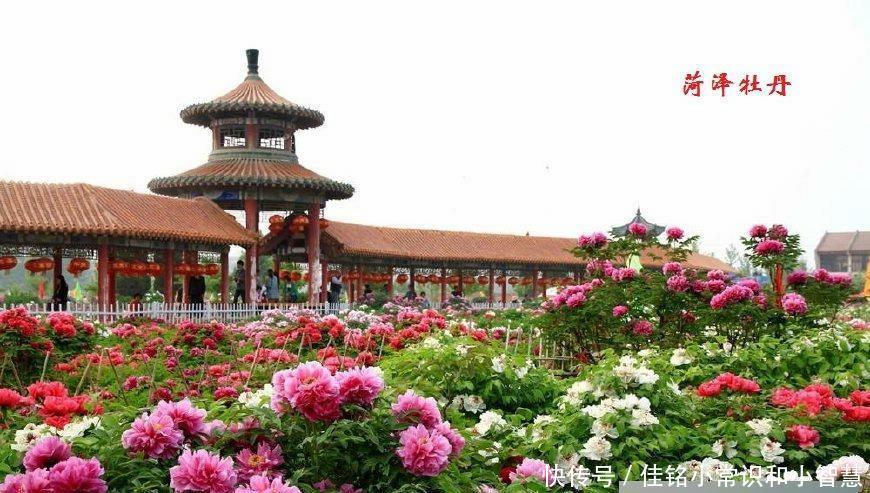  【地市】山东十七地市成立时间及分类，有个市有些特别，滨州、