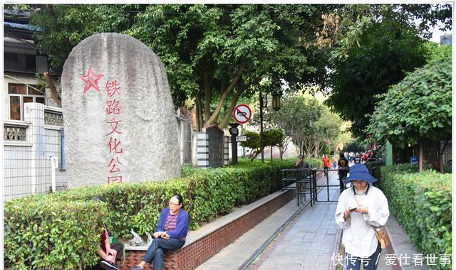 「鸽子」顶澳仔猫街撸猫、白鹭洲喂鸽子,厦门文艺之旅,去过才算没白来!