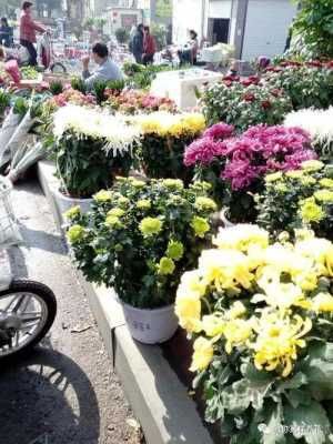  『没过多久』揭秘花店老板的套路：3种花不要买，不然没过多久只剩个空盆