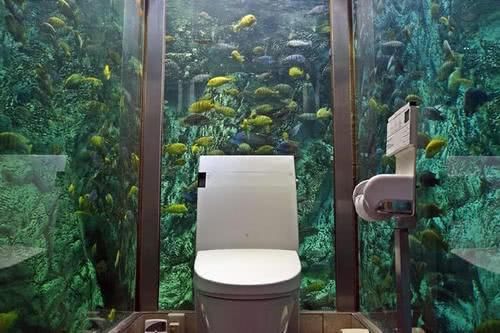 餐厅花上百万让顾客边上厕所边赏鱼 顾客数猛增却愁坏老板
