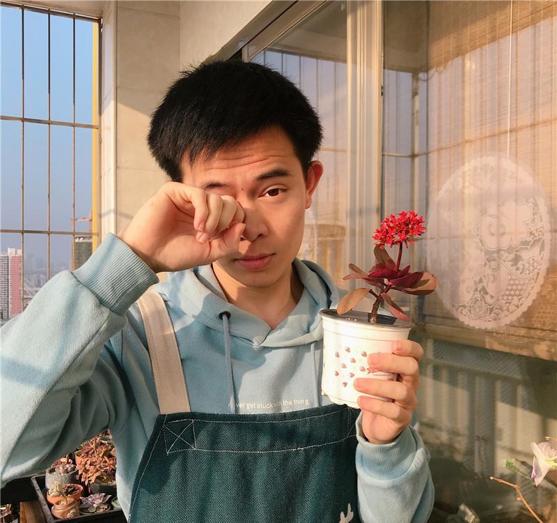 成败：扦插“红花闺女”：4个月见花，花叶共赏，成败看“细节”！