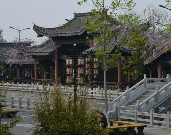 海拔仅为7米,国内唯一没有山的城市