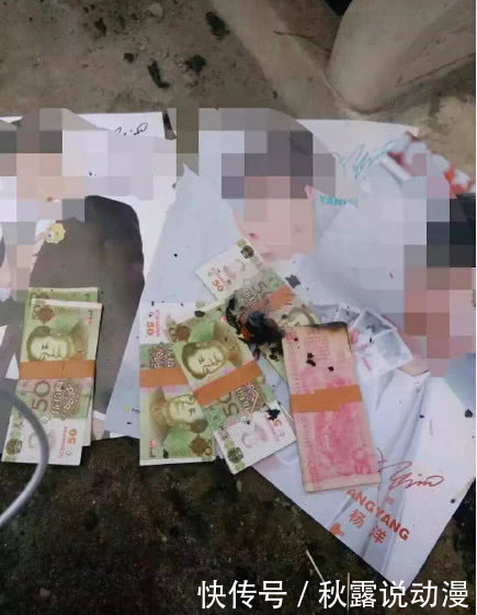 杨洋遭受网络暴力攻击,经纪人发火后却这样回应:下次一定告你!