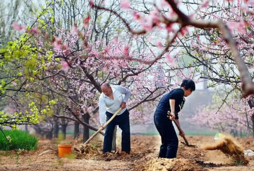 俗语：“不怕冬月三一阴，就怕大寒满天星”，这句话什么意思？