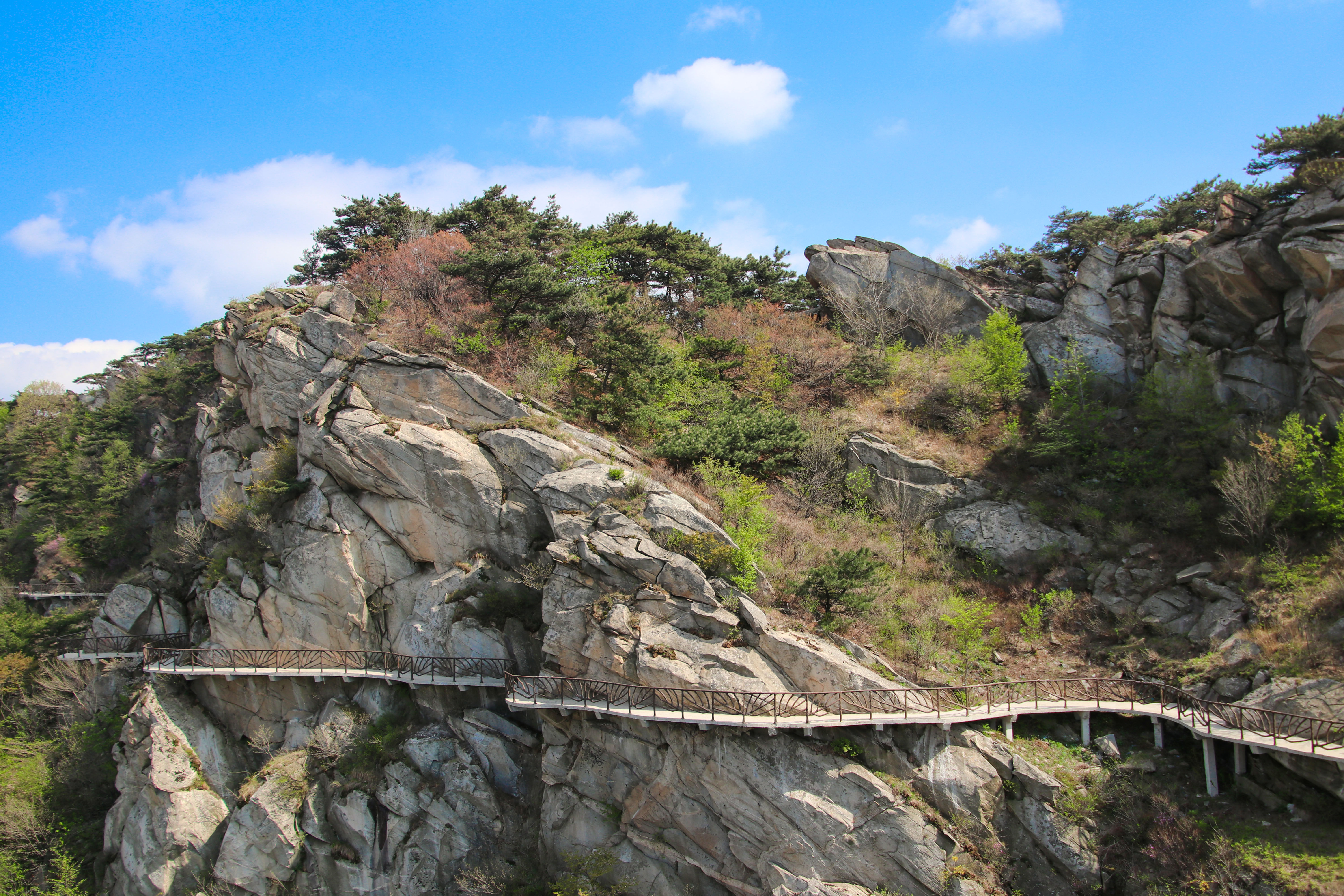 来沂蒙山，我“养”你啊