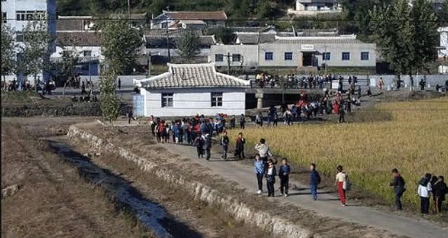 农村户口在“升级”，这几类人有望成为“幸运儿”，其中有你吗？