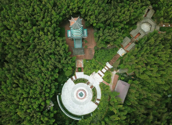 [森林旅游]贵州赤水竹海醉游人